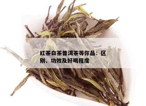 红茶白茶普洱茶等你品：区别、功效及好喝程度