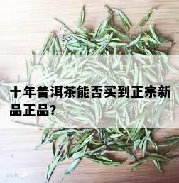 十年普洱茶能否买到正宗新品正品？