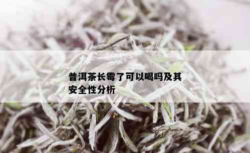 普洱茶长霉了可以喝吗及其安全性分析