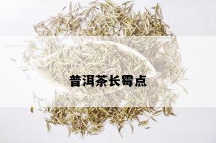 普洱茶长霉点