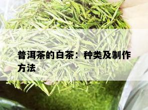 普洱茶的白茶：种类及制作方法