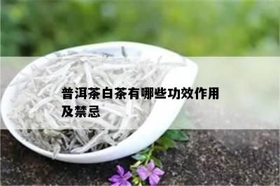 普洱茶白茶有哪些功效作用及禁忌