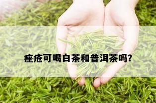 痤疮可喝白茶和普洱茶吗？