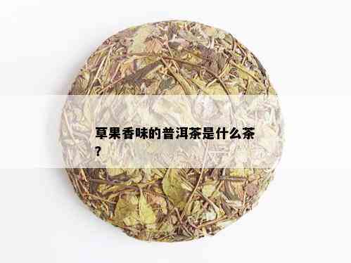 草果香味的普洱茶是什么茶？