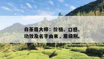 白茶眉大师：价格、口感、功效及名字由来，眉级别。