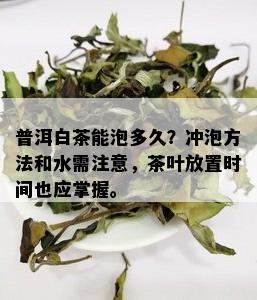 普洱白茶能泡多久？冲泡方法和水需注意，茶叶放置时间也应掌握。