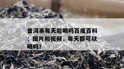 普洱茶每天能喝吗百度百科：图片和视频，每天都可以喝吗？