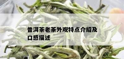 普洱茶老茶外观特点介绍及口感描述