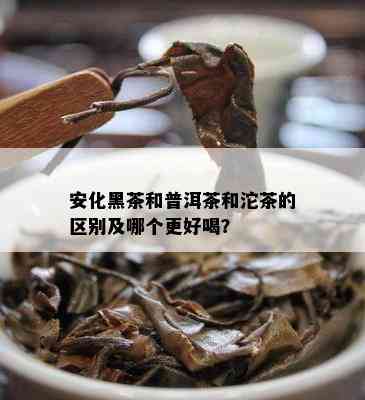 安化黑茶和普洱茶和沱茶的区别及哪个更好喝？