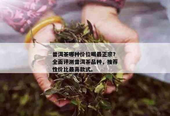 普洱茶哪种价位喝最正宗？全面评测普洱茶品种，推荐性价比更高款式。