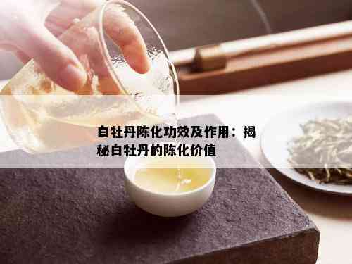 白牡丹陈化功效及作用：揭秘白牡丹的陈化价值