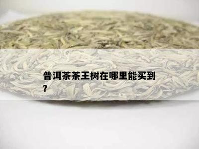 普洱茶茶王树在哪里能买到？