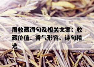 眉收藏词句及相关文案：收藏价值、香气形容、诗句精选