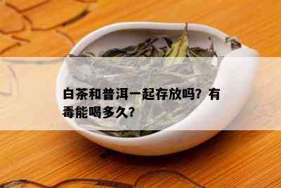 白茶和普洱一起存放吗？有能喝多久？