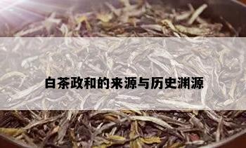 白茶政和的来源与历史渊源