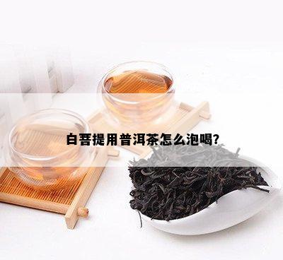 白菩提用普洱茶怎么泡喝？