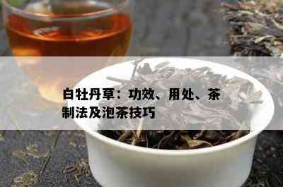 白牡丹草：功效、用处、茶制法及泡茶技巧