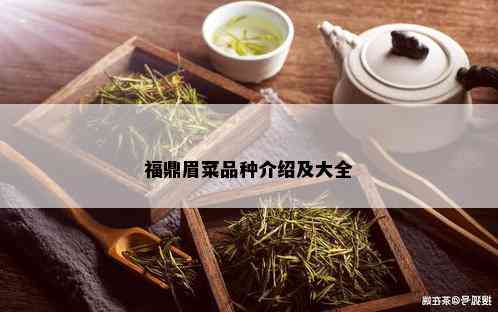 福鼎眉菜品种介绍及大全