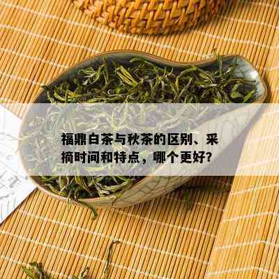 福鼎白茶与秋茶的区别、采摘时间和特点，哪个更好？