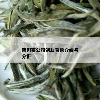 普洱茶公司创业背景介绍与分析