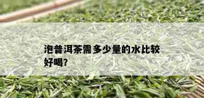 泡普洱茶需多少量的水比较好喝？