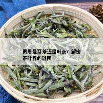 贡眉是芽茶还是叶茶？解密茶叶界的谜团