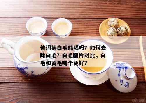 普洱茶白毛能喝吗？如何去除白毛？白毛图片对比，白毛和黄毛哪个更好？