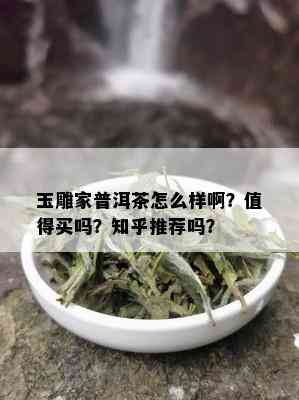 玉雕家普洱茶怎么样啊？值得买吗？知乎推荐吗？