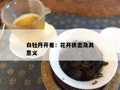 白牡丹开着：花开状态及其意义