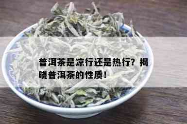 普洱茶是凉行还是热行？揭晓普洱茶的性质！