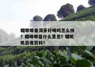 糯唧唧普洱茶好喝吗怎么样？糯唧唧是什么意思？糯叽叽百度百科？