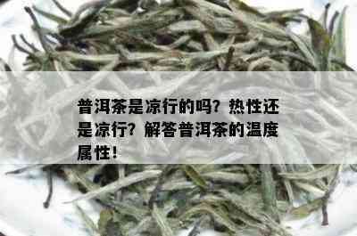 普洱茶是凉行的吗？热性还是凉行？解答普洱茶的温度属性！