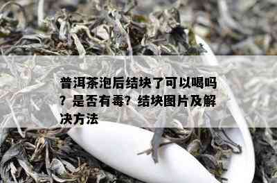 普洱茶泡后结块了可以喝吗？是否有？结块图片及解决方法