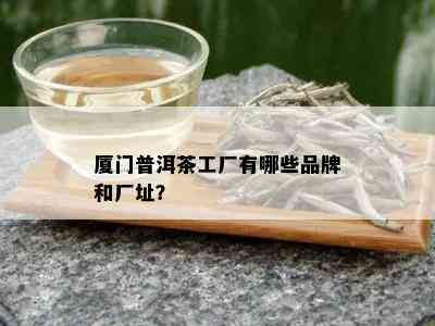 厦门普洱茶工厂有哪些品牌和厂址？