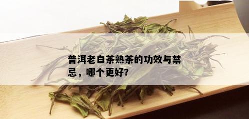 普洱老白茶熟茶的功效与禁忌，哪个更好？