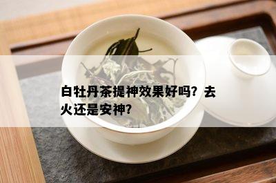 白牡丹茶提神效果好吗？去火还是安神？