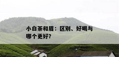 小白茶和眉：区别、好喝与哪个更好？