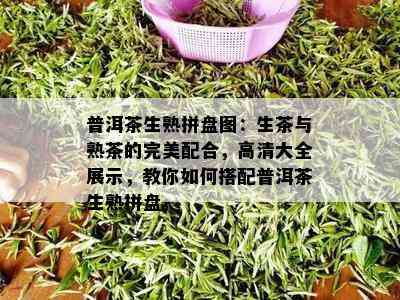 普洱茶生熟拼盘图：生茶与熟茶的完美配合，高清大全展示，教你如何搭配普洱茶生熟拼盘。