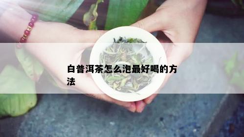 白普洱茶怎么泡更好喝的方法