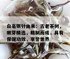 白毫银针由来：古老茶树，嫩芽精选，精制而成，具有保健功效，享誉世界