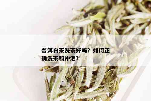 普洱白茶洗茶好吗？如何正确洗茶和冲泡？