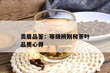 贡眉品鉴：等级辨别和茶叶品质心得