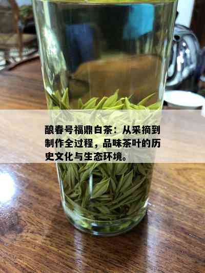 酿春号福鼎白茶：从采摘到制作全过程，品味茶叶的历史文化与生态环境。