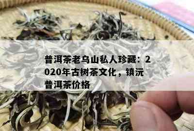 普洱茶老乌山私人珍藏：2020年古树茶文化，镇沅普洱茶价格