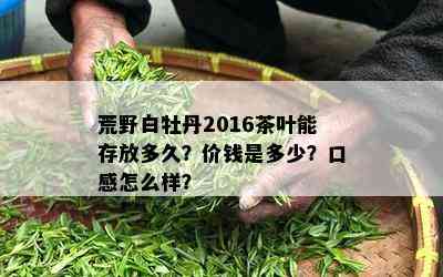 荒野白牡丹2016茶叶能存放多久？价钱是多少？口感怎么样？