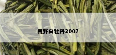 荒野白牡丹2007