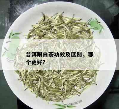 普洱跟白茶功效及区别，哪个更好？