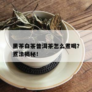 黑茶白茶普洱茶怎么煮喝？煮法揭秘！