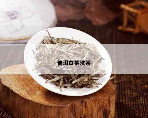 普洱白茶洗茶