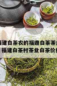 福建白茶农的福鼎白茶茶厂，福建白茶村茶业白茶价格